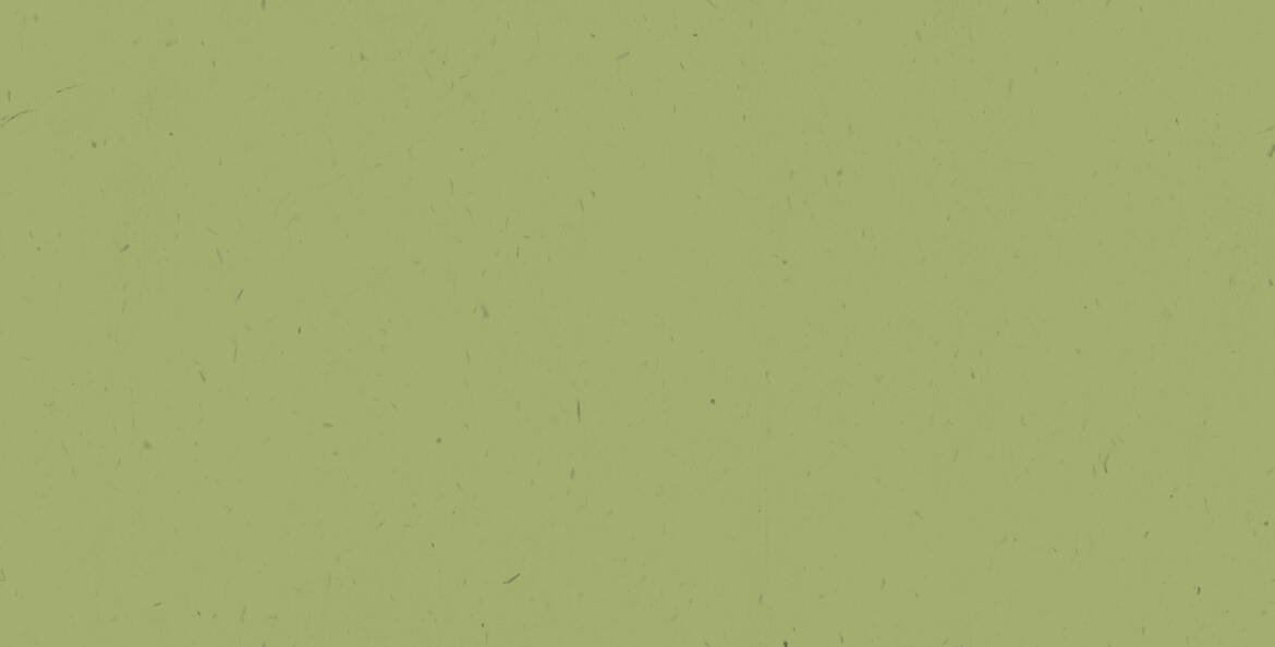 bg_green-1-1-scaled.jpg
