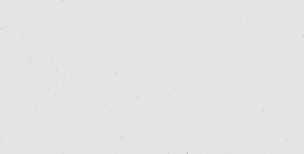 bg_main_boxed_version-1-scaled.jpg