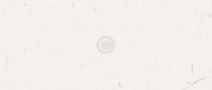 rectangle-8-copy-5.jpg