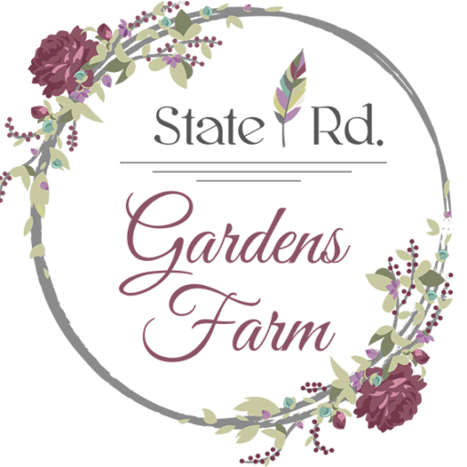 cropped-Logo-1.png